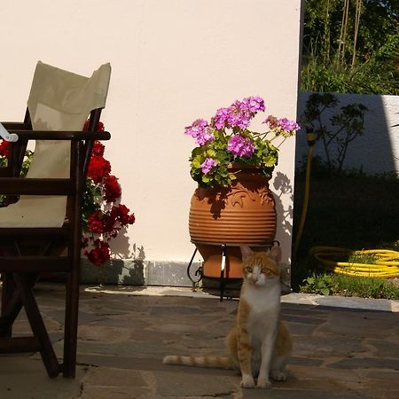 Andrianna Apartments Ammoudia Bagian luar foto